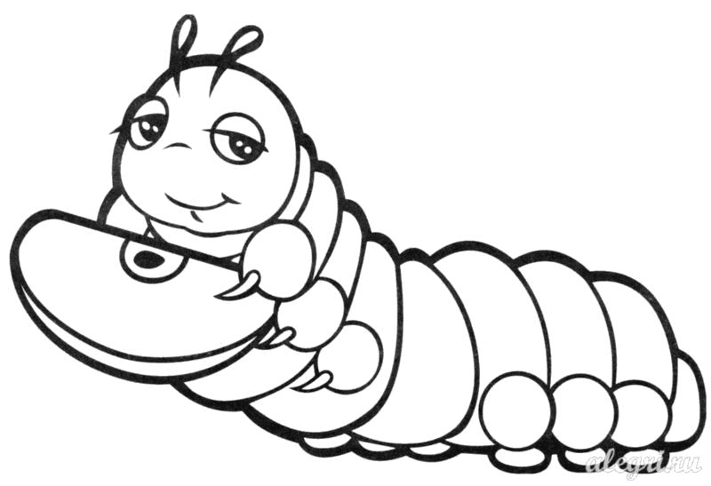 Caterpillar for kids Coloring Page