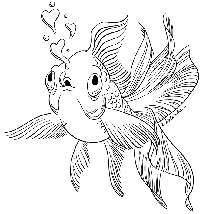 Peixe Dourado Encantador de Goldfish