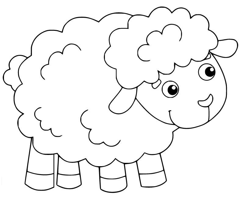 Симпатичная пушистая овечка из Cute