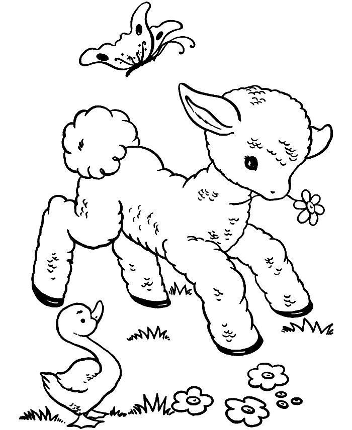 Cute Little Sheep Coloring Page