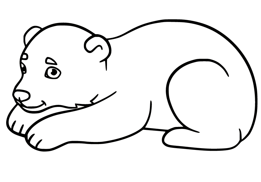 Cute Young Polar Bear Coloring Page