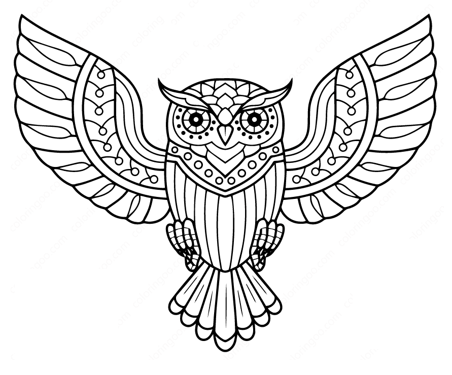 Day of the Dead Owl Coloring Page
