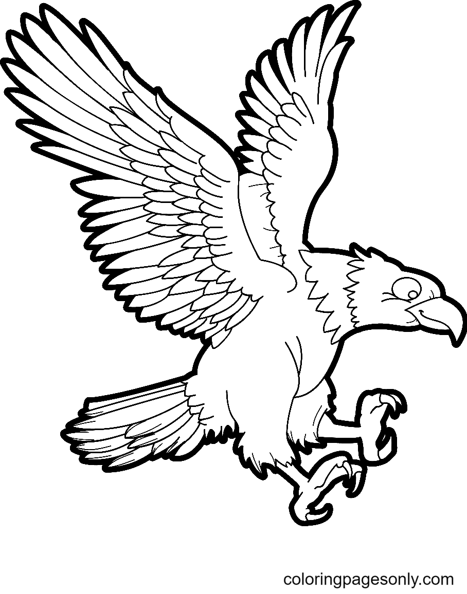Eagle For Children Coloring Pages
