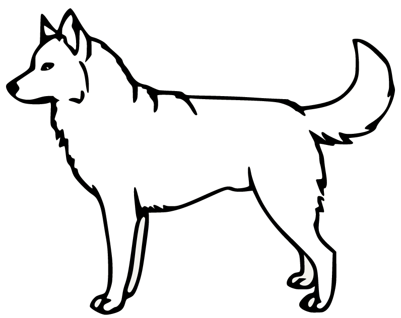 Easy Husky Coloring Pages