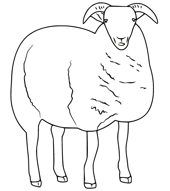 Easy Realistic Sheep Coloring Page