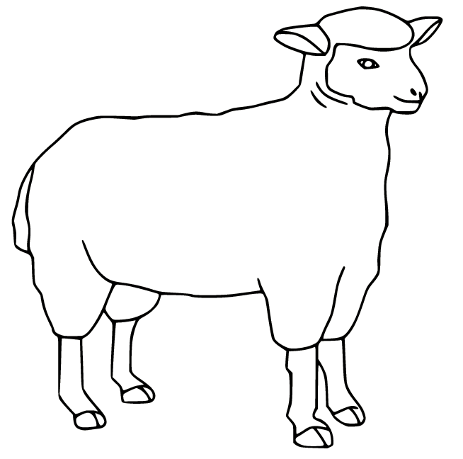 Easy Simple Sheep Coloring Page