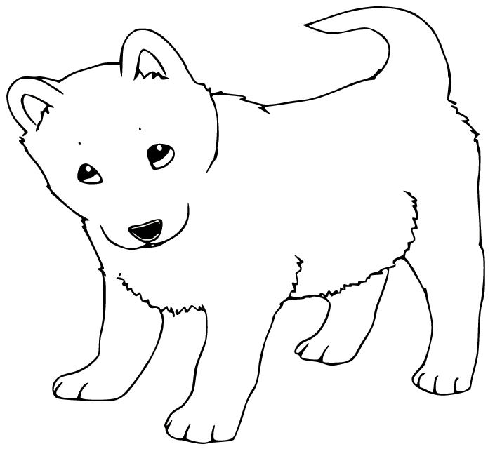 Fat Baby Husky Coloring Page