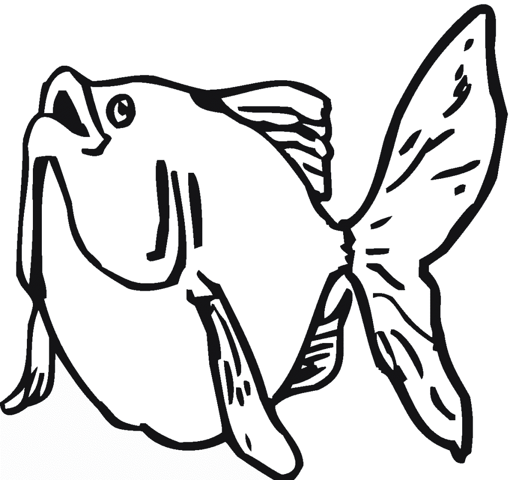 Fat Goldfish Coloring Pages