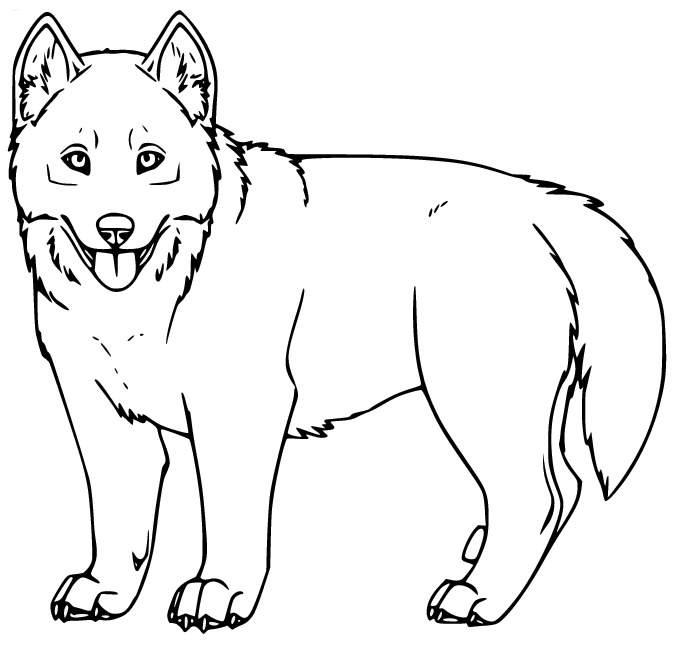 Fat Husky Coloring Page