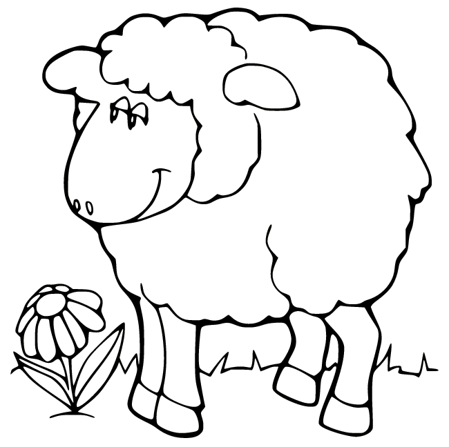 Oveja gorda con una flor de oveja