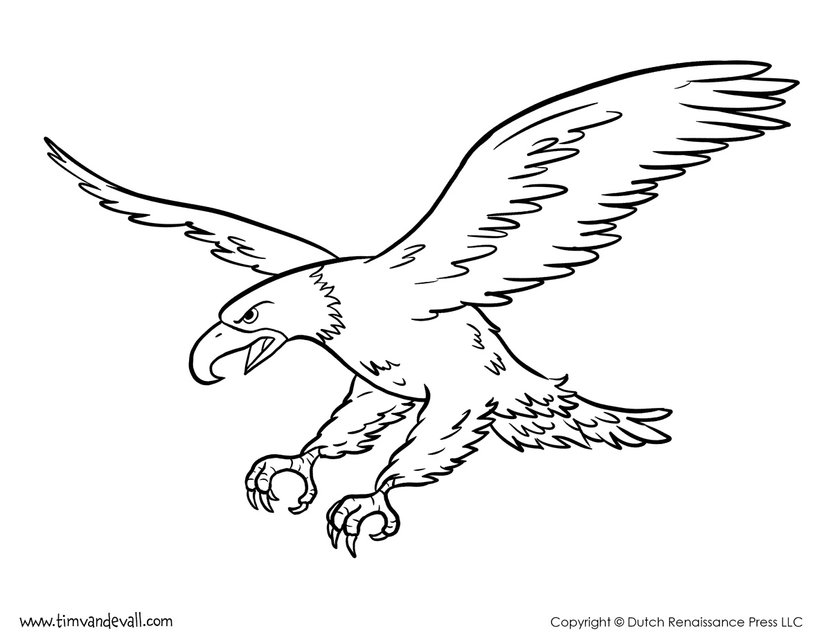 Свирепый белоголовый орлан из Eagle