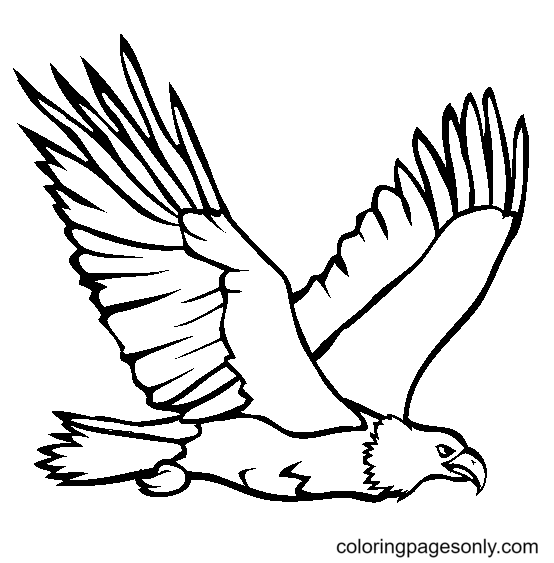 Flying Eagle for Kids Coloring Page