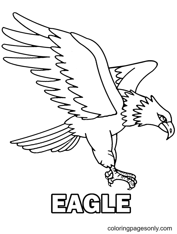 Vliegende adelaar van Eagle