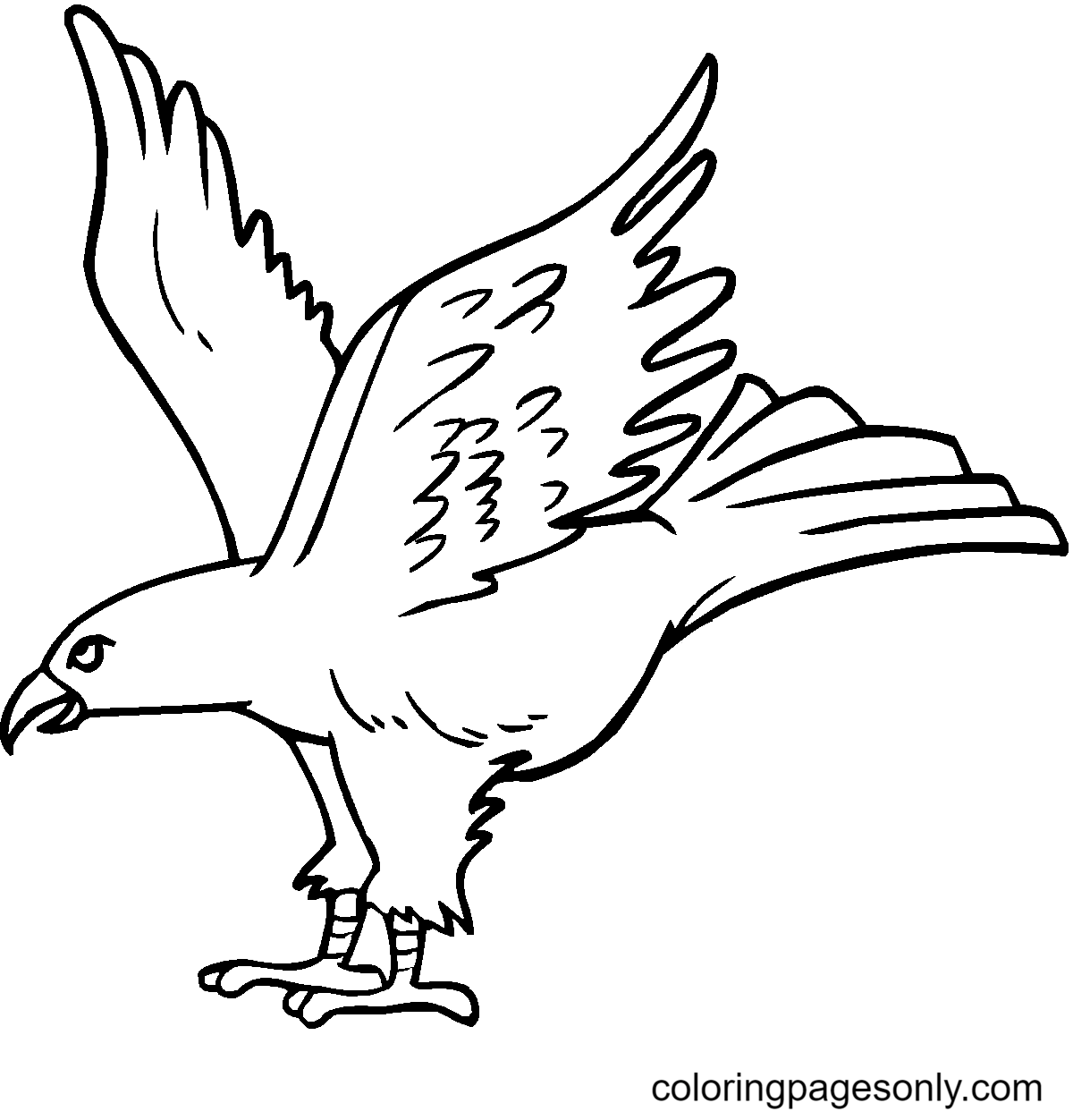Free Printable Eagle Coloring Page
