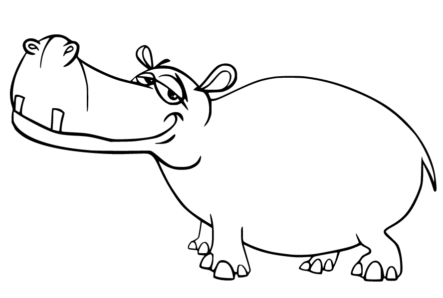 Grappig nijlpaard van Hippo