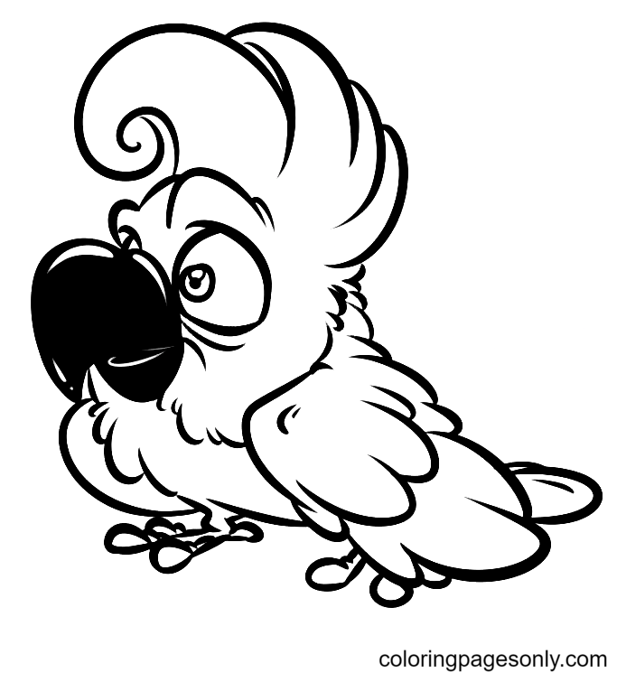 Забавный какаду-попугай