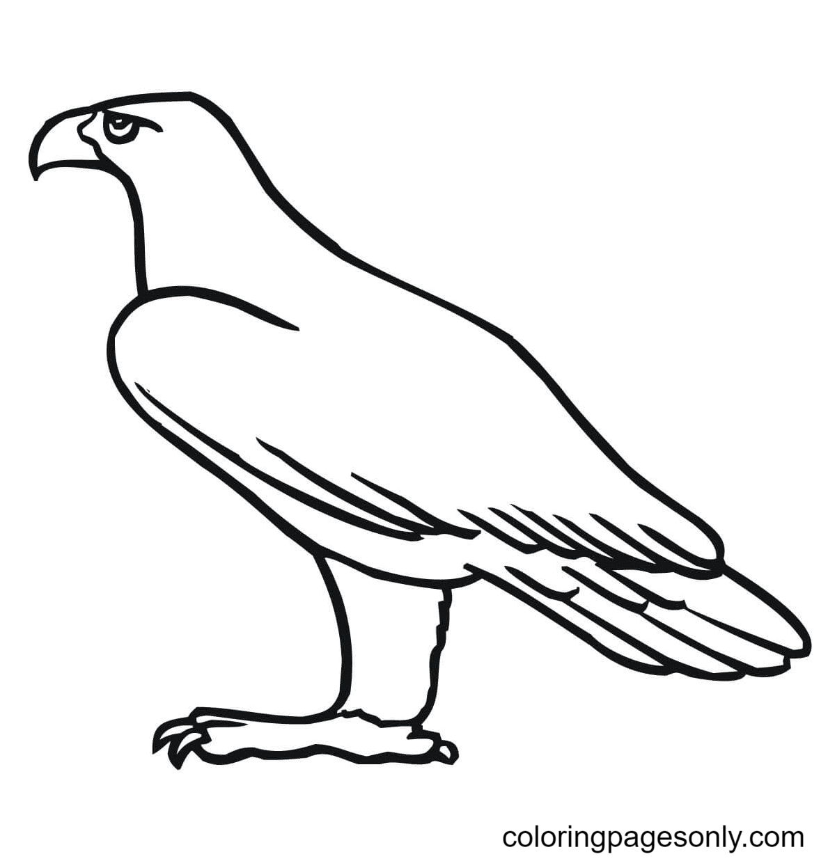 Águila real de Eagle