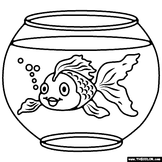 Goldfisch im Aquarium von Goldfish