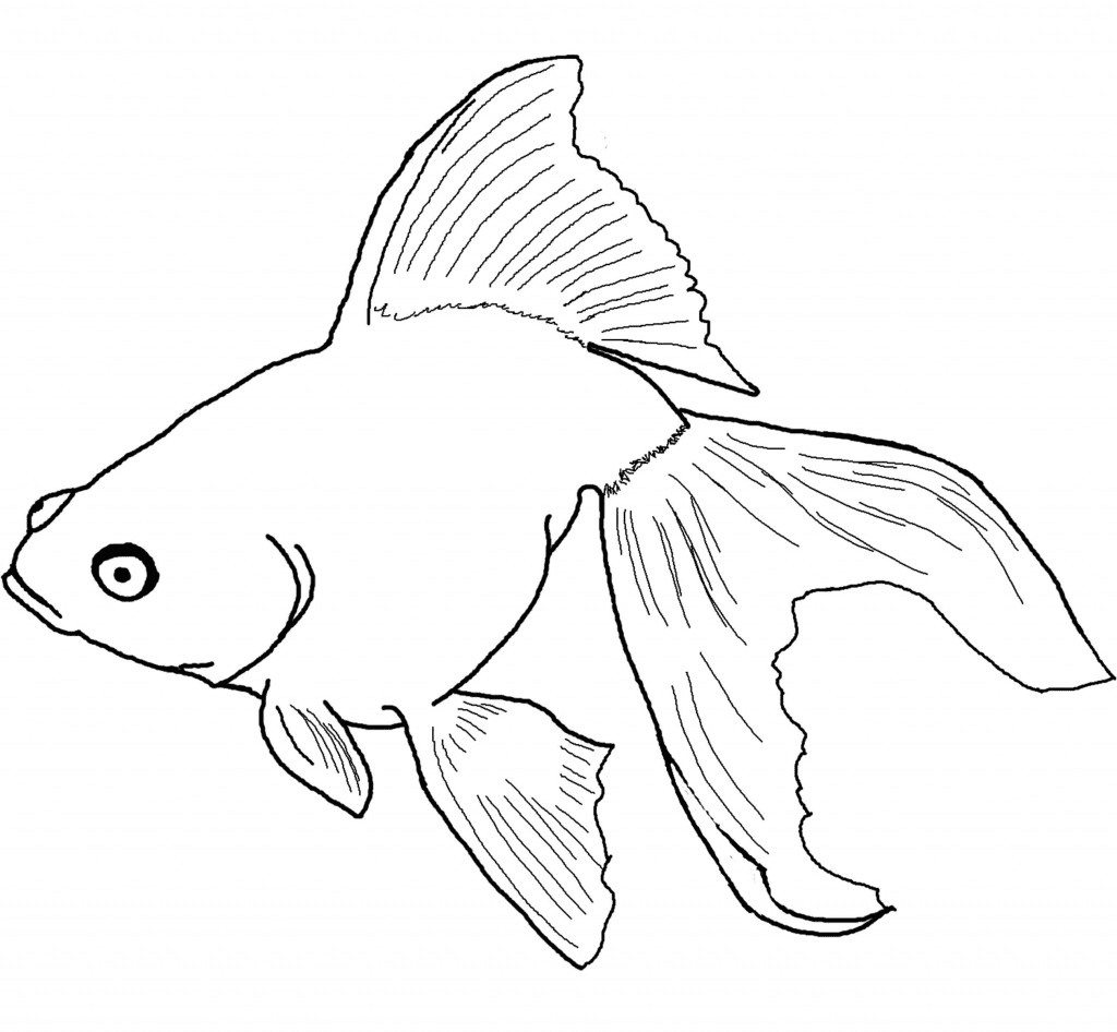Goldfish for Kids Coloring Page