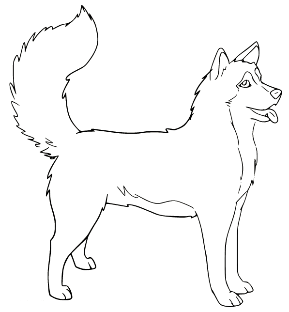 Happy Husky Coloring Page