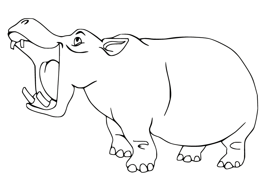 Nijlpaard brult van Hippo