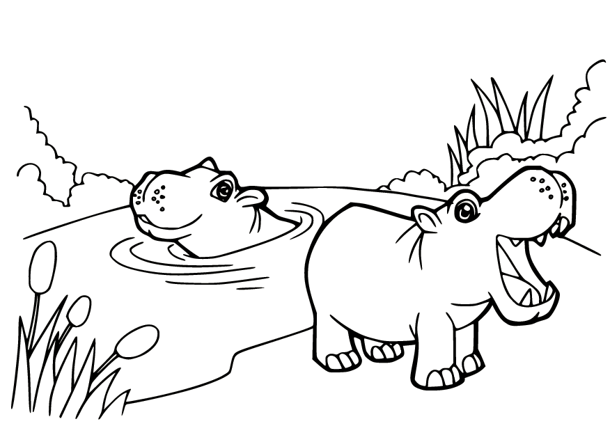Hippo bajo el agua y otro en el banco de Hippo