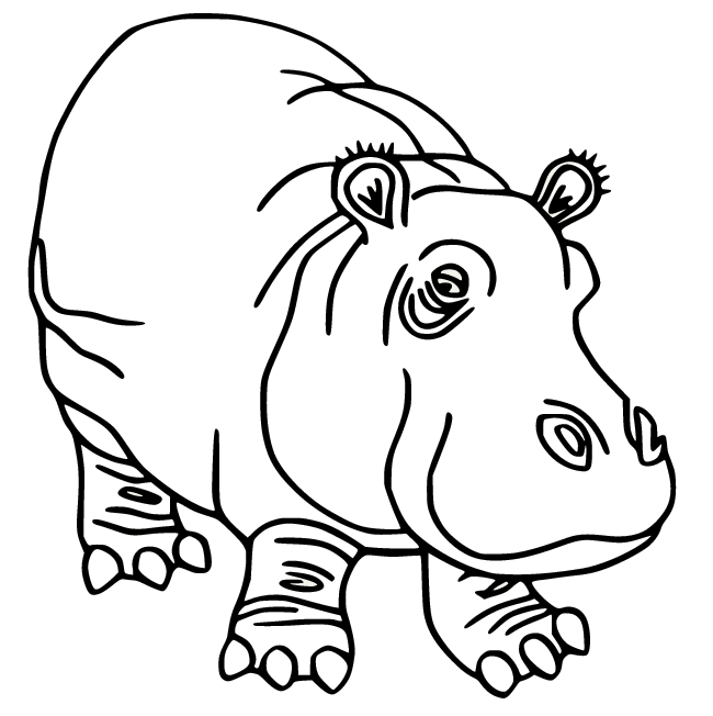 Huge Fat Hippo Coloring Page - Free Printable Coloring Pages