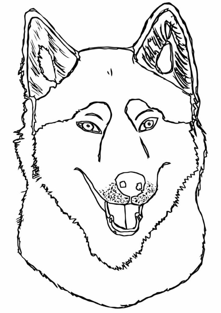 Husky Face Coloring Page