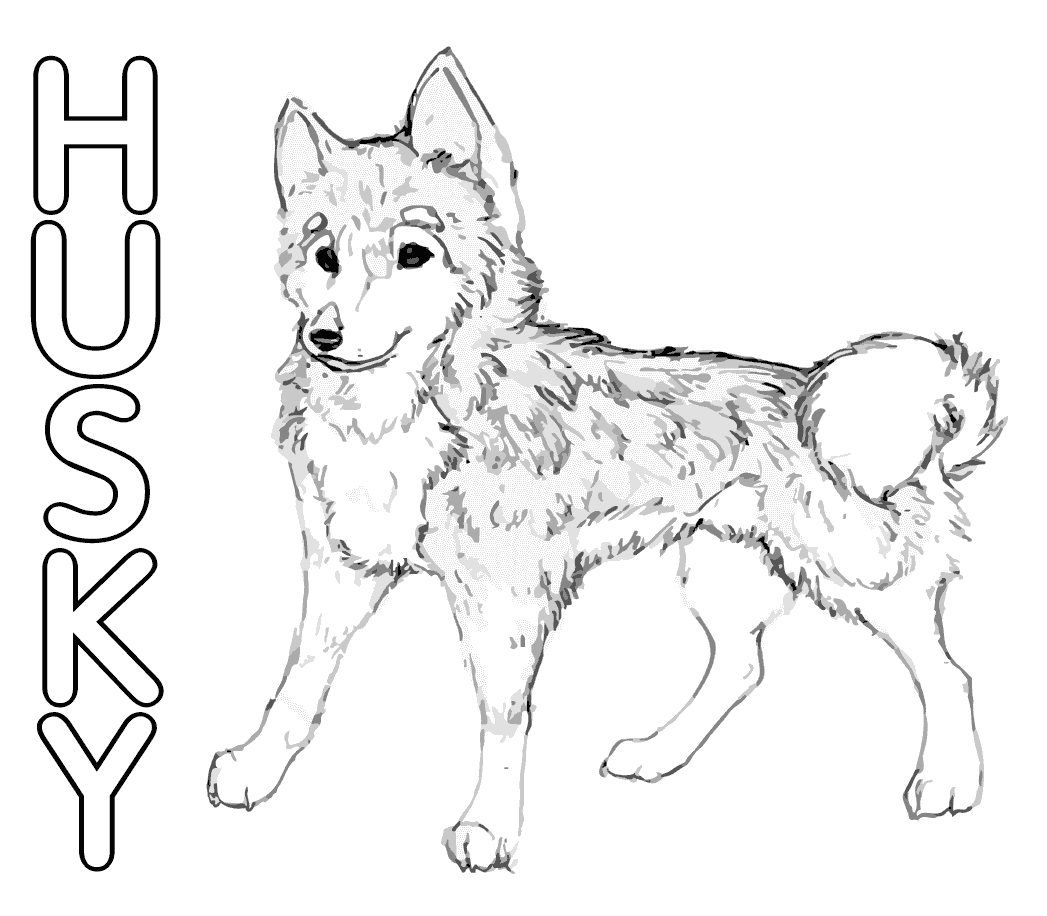 Husky Free Coloring Page