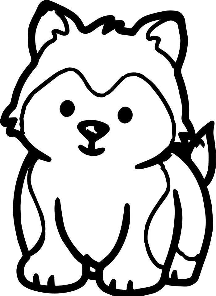 Husky Puppy Dog Puppy Coloring Page
