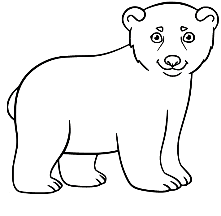 Little Polar Bear Coloring Page