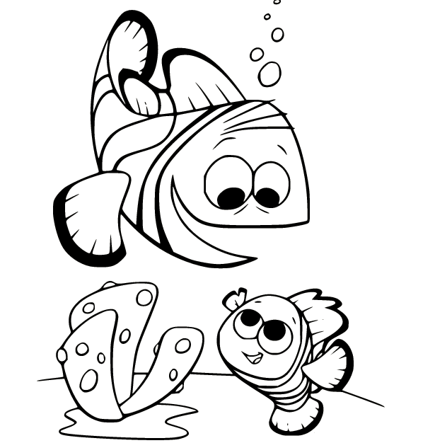 《海底总动员》中的尼莫和马林与珊瑚