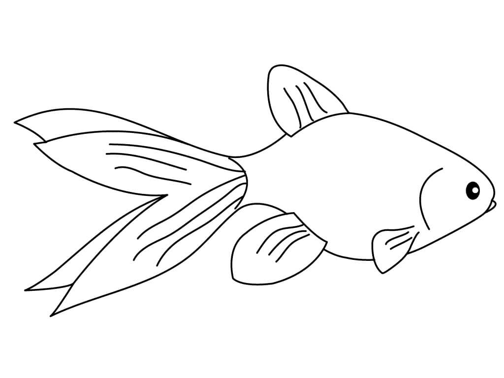 Normal Goldfish Coloring Page