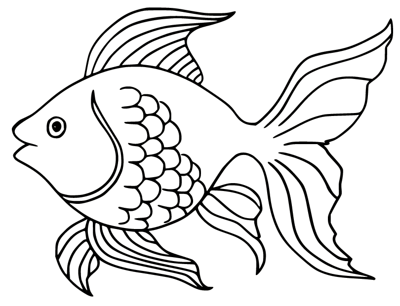 Pearlscale Goldfish Coloring Pages