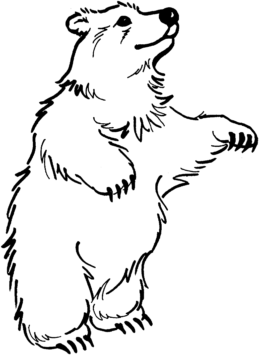 Polar Bear Standing Coloring Pages