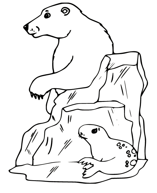 Polar Bear and a Seal Coloring Page