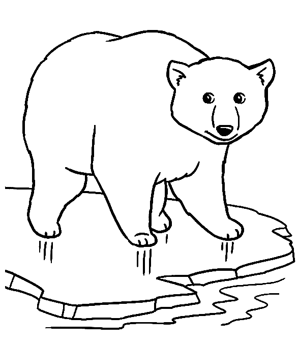 Polar Bear On Ice Coloring Pages