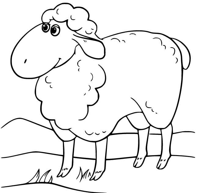 Pretty Sheep on the Grass Coloring Page