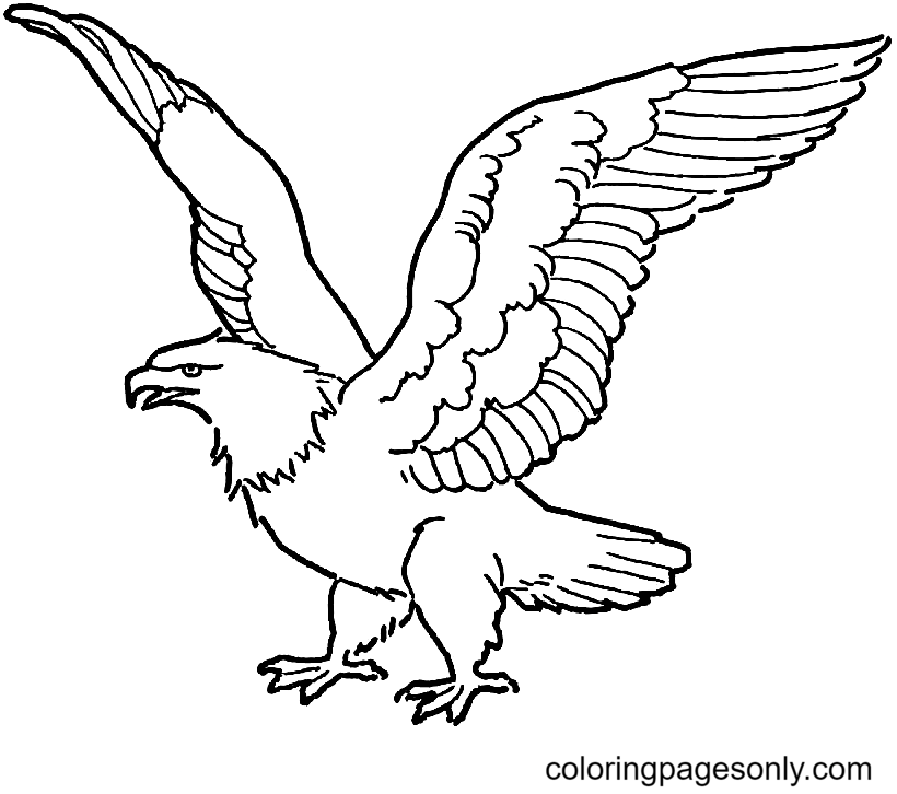 Printable Eagle for Kids Coloring Page