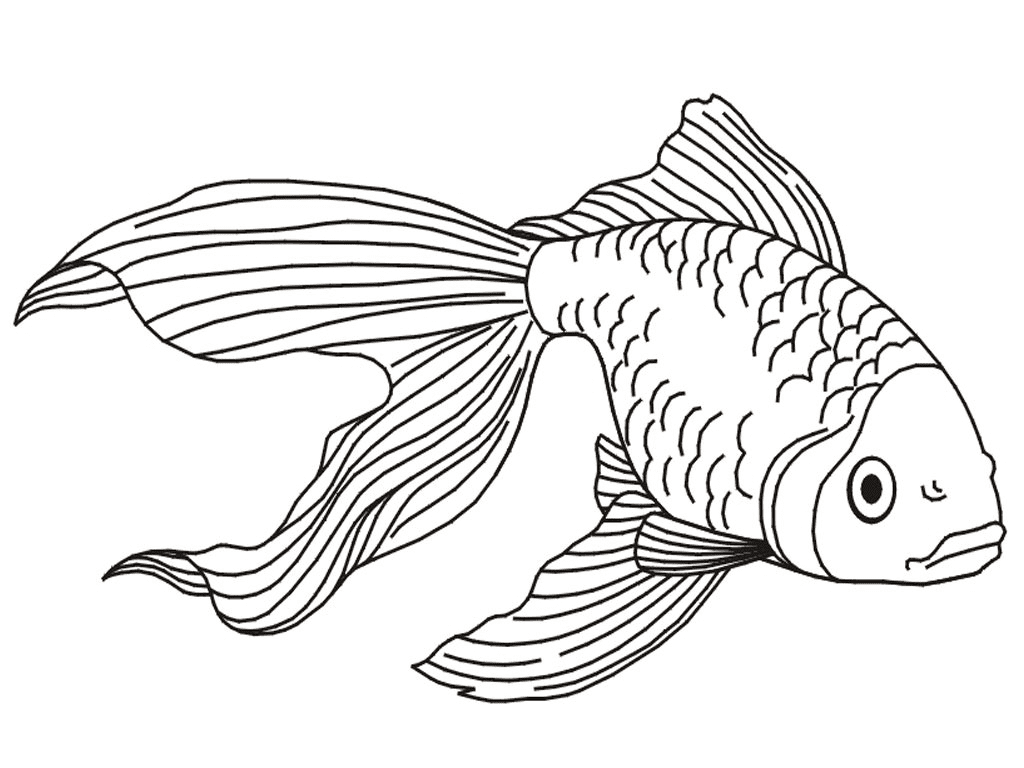 سمكة ذهبية قابلة للطباعة من السمكة الذهبية