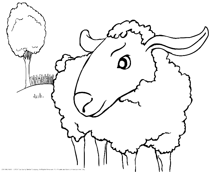 Printable Sheep Coloring Pages