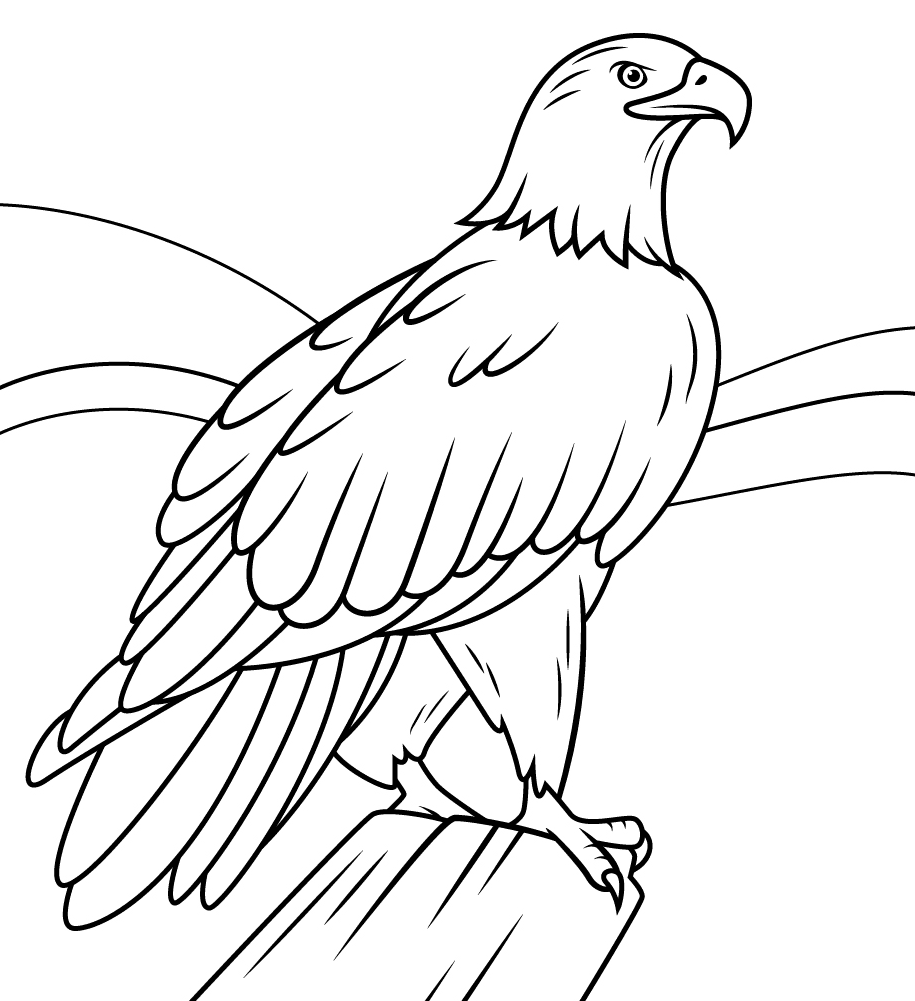 Proud Bald Eagle Coloring Page