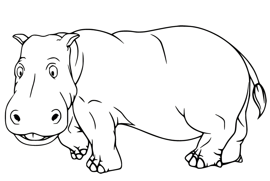 Realistic Funny Hippo Coloring Pages