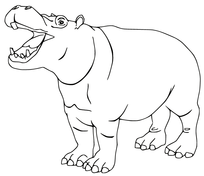Realistic Hippo Roaring Coloring Page
