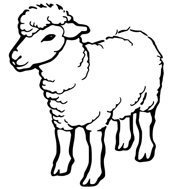 Realistische Schafe vom Schaf