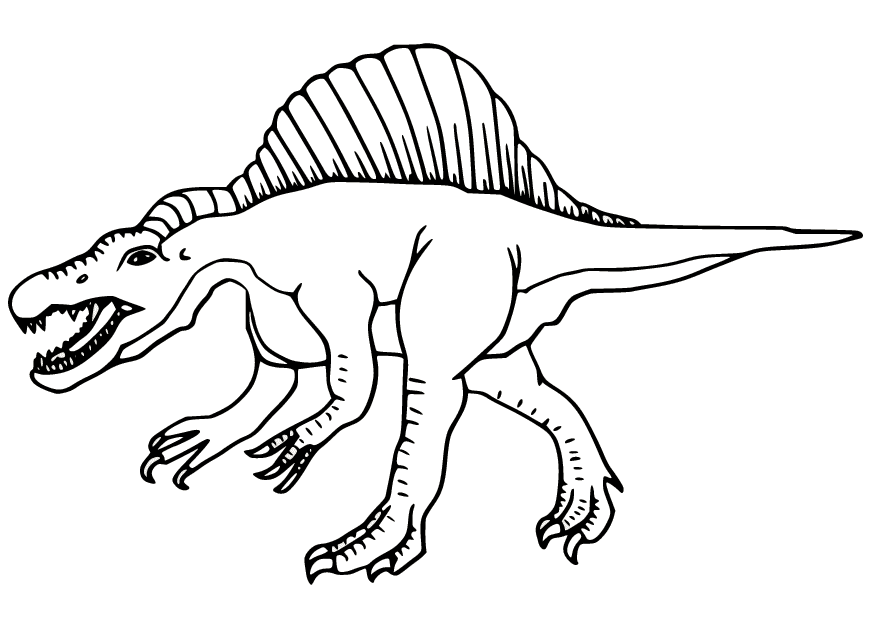 Spinosaurus Realista para Imprimir Página para Colorear