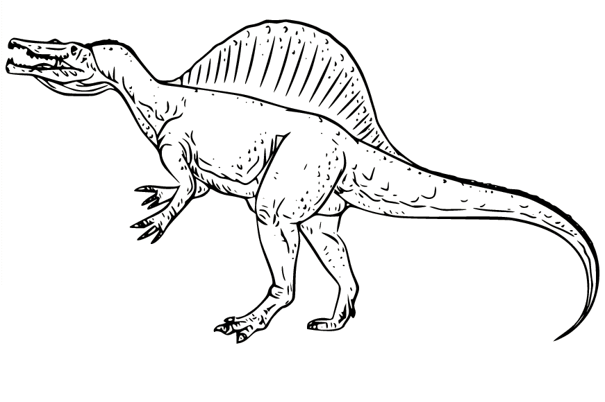 Page de coloriage réaliste de Spinosaurus