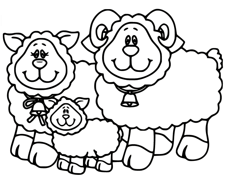 Familia de ovejas de ovejas.