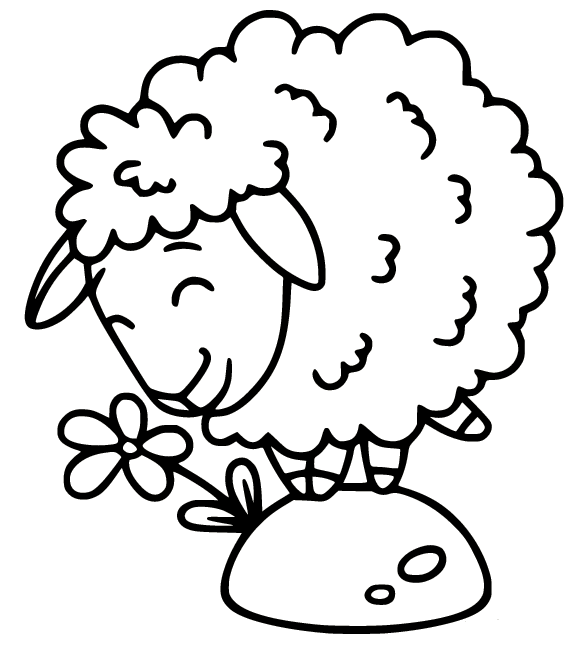 Ovelha cheira uma flor de ovelha