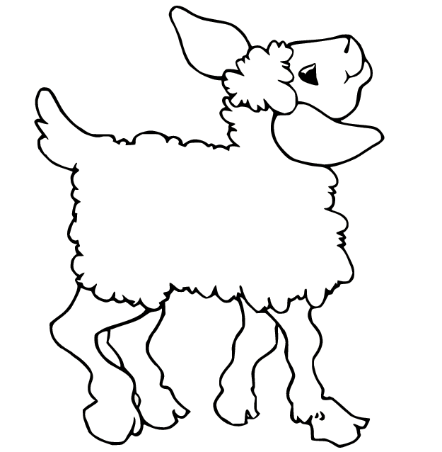 Schafe gehen glücklich von Schafen